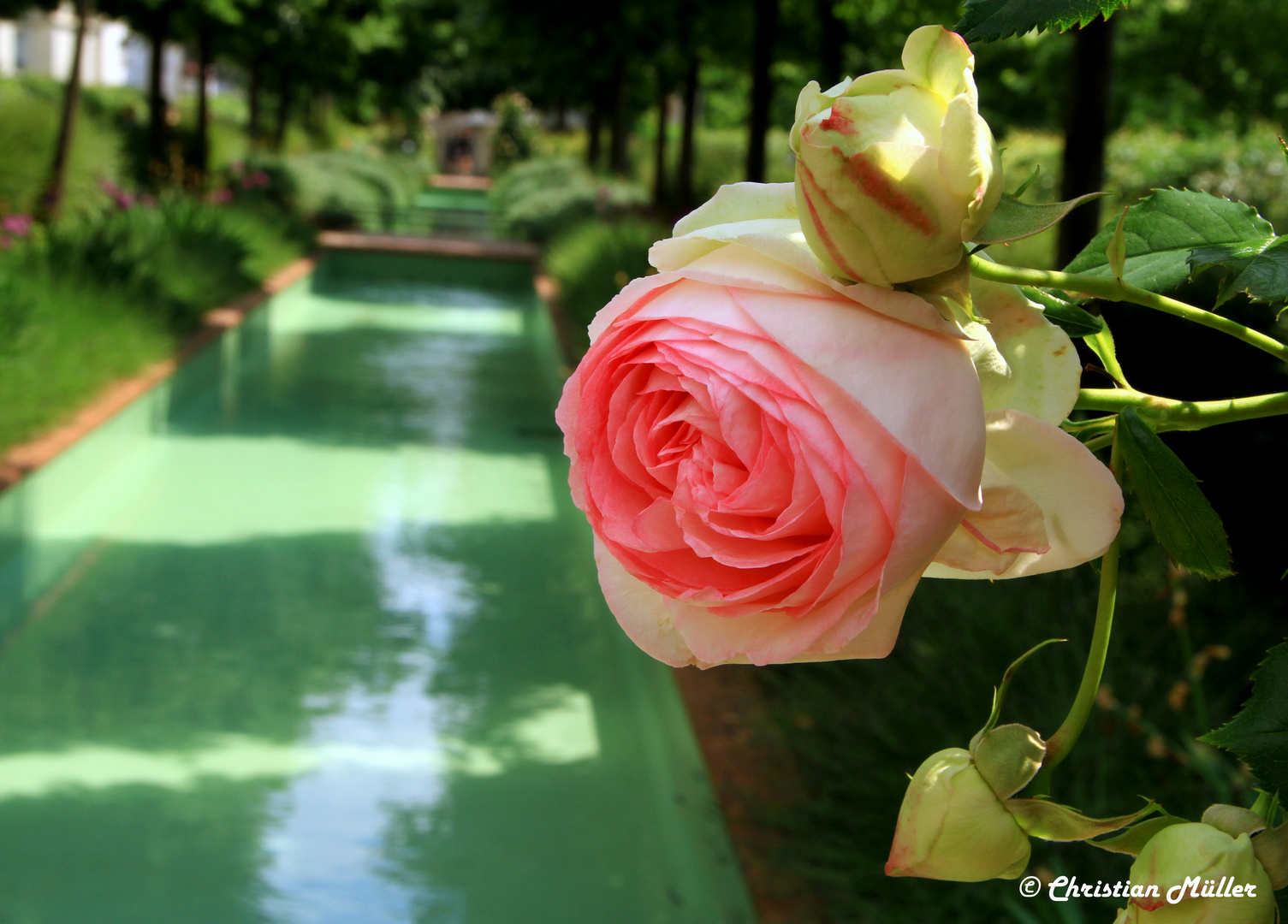 Promenade plantée