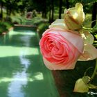 Promenade plantée