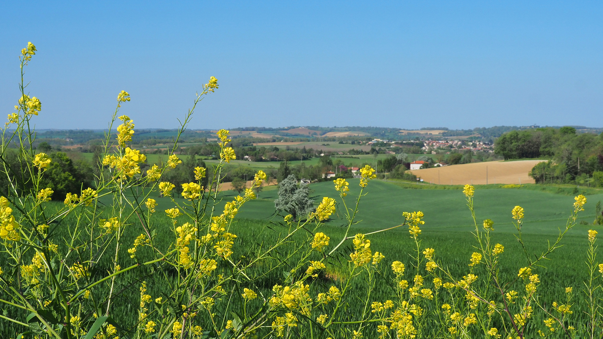 Promenade près de chez moi