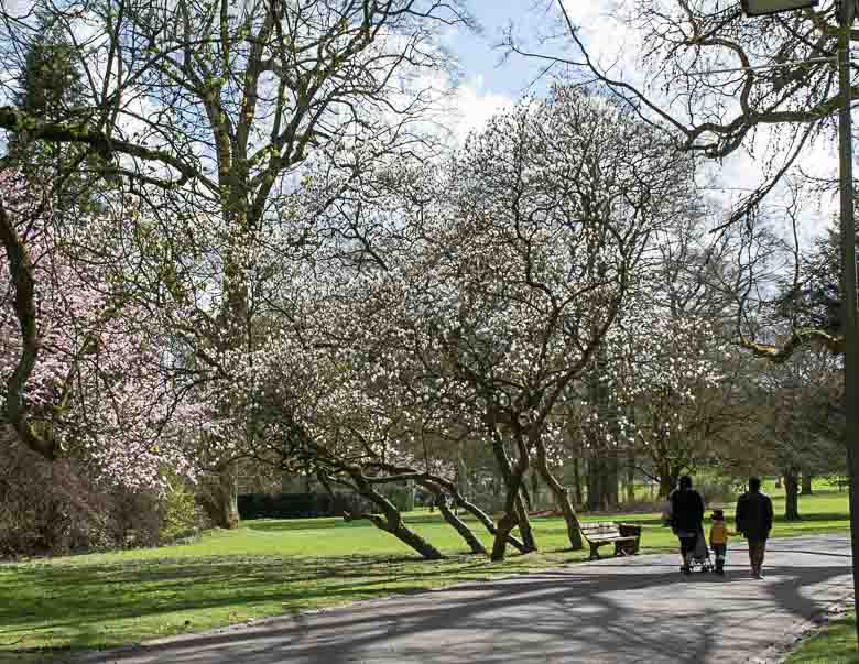 promenade printaniere