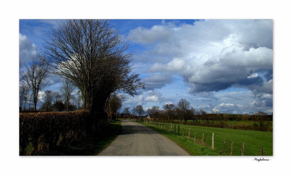 Promenade printanière