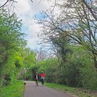 Promenade printanière