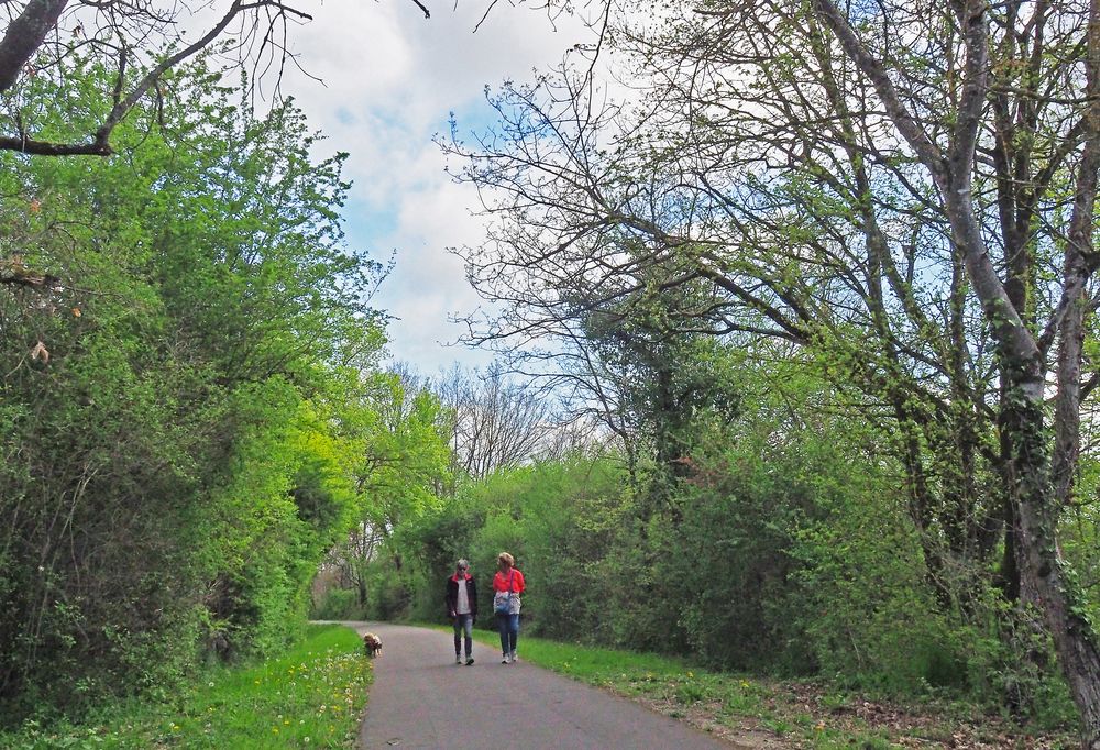 Promenade printanière