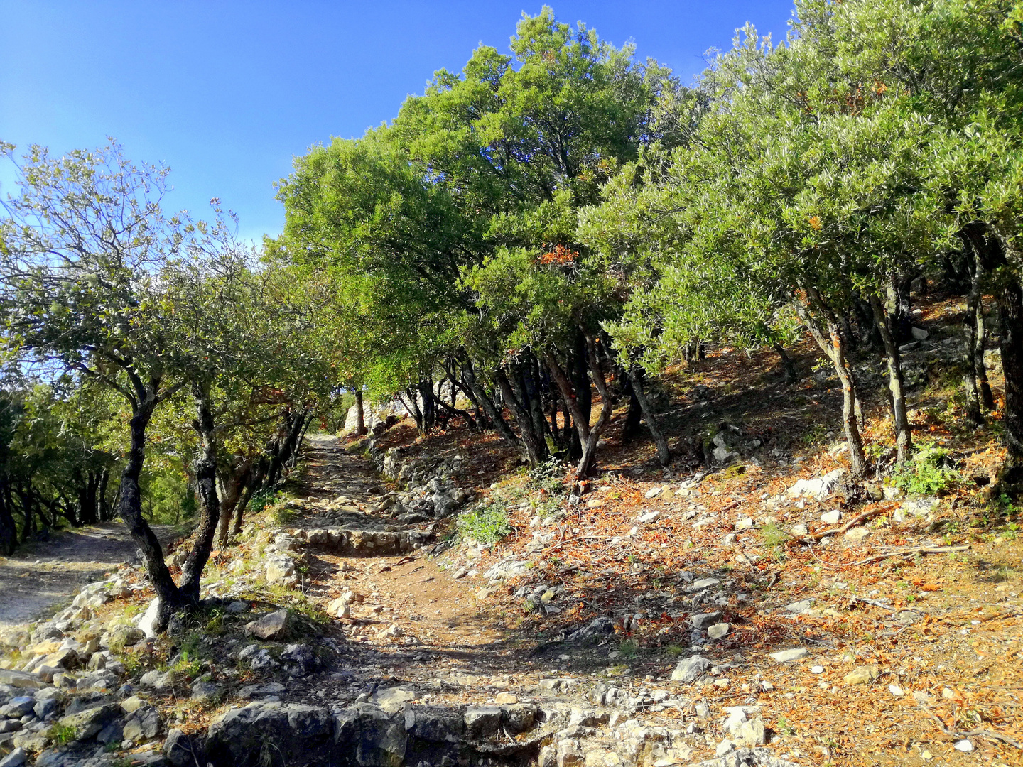 Promenade provençale, St Jean du Puy (Trets, BdRhône)