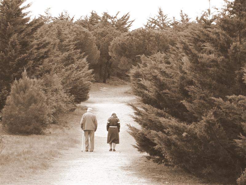 Promenade quotidienne