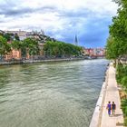 Promenade rives de Saône