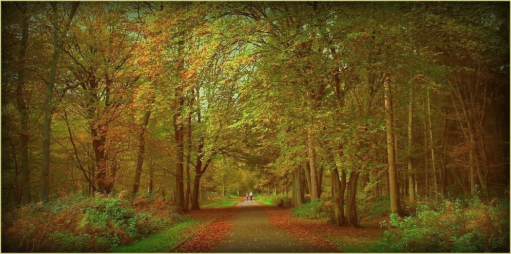 Promenade sans peur et sans reproche....