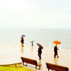 Promenade sous la pluie