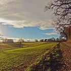 Promenade sous le soleil de janvier