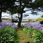 Promenade sur Bréhat