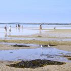 Promenade sur la plage