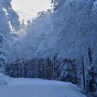 Promenade sur la route des crêtes