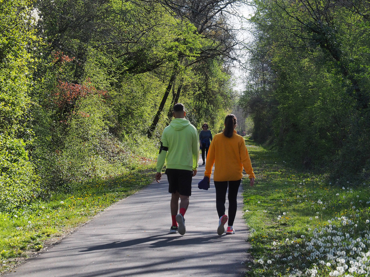 Promenade sur la voie verte