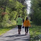 Promenade sur la voie verte