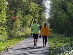 Promenade sur la voie verte