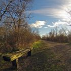 Promenade sur la voie verte en hiver