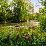 Promenade sur le lac 