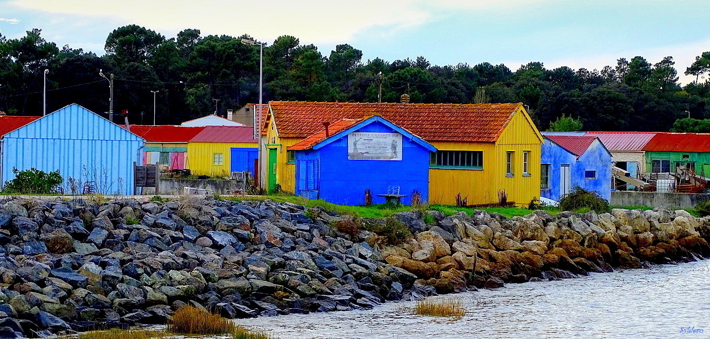 Promenade sur le port