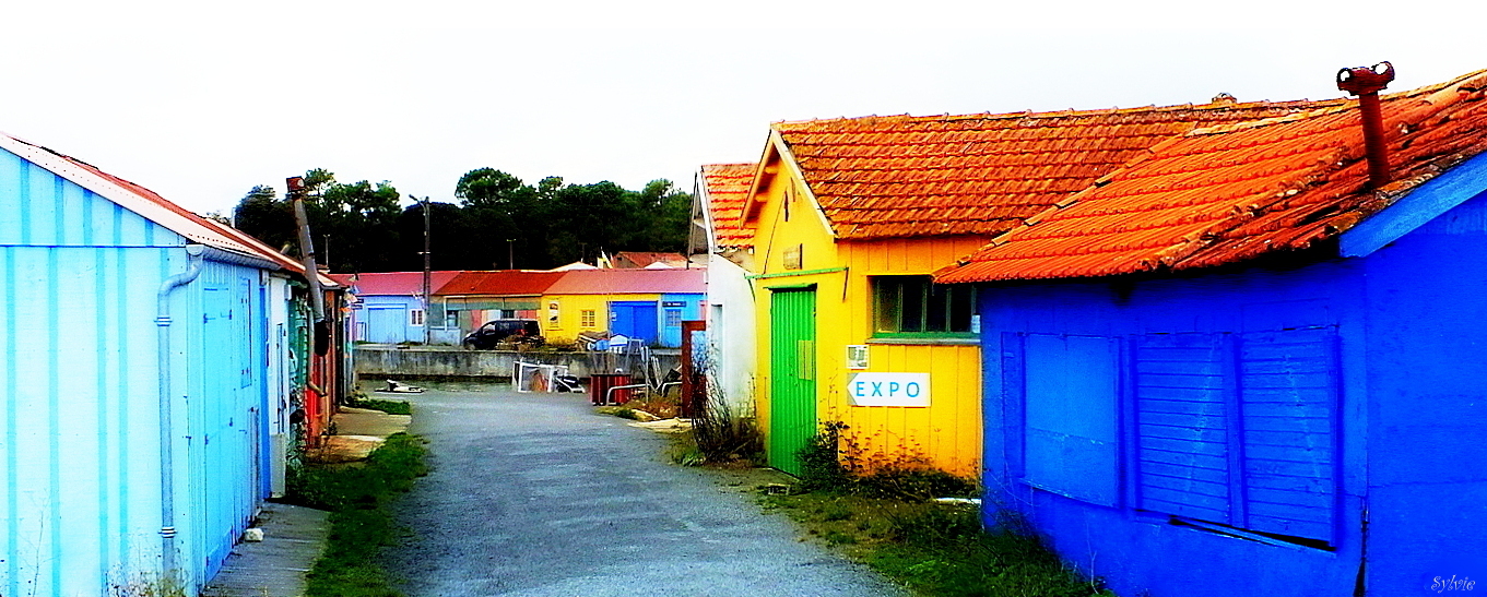 Promenade sur le port de St- Trojan (2)