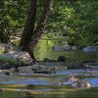 Promenade  sur le sentier de la Brague