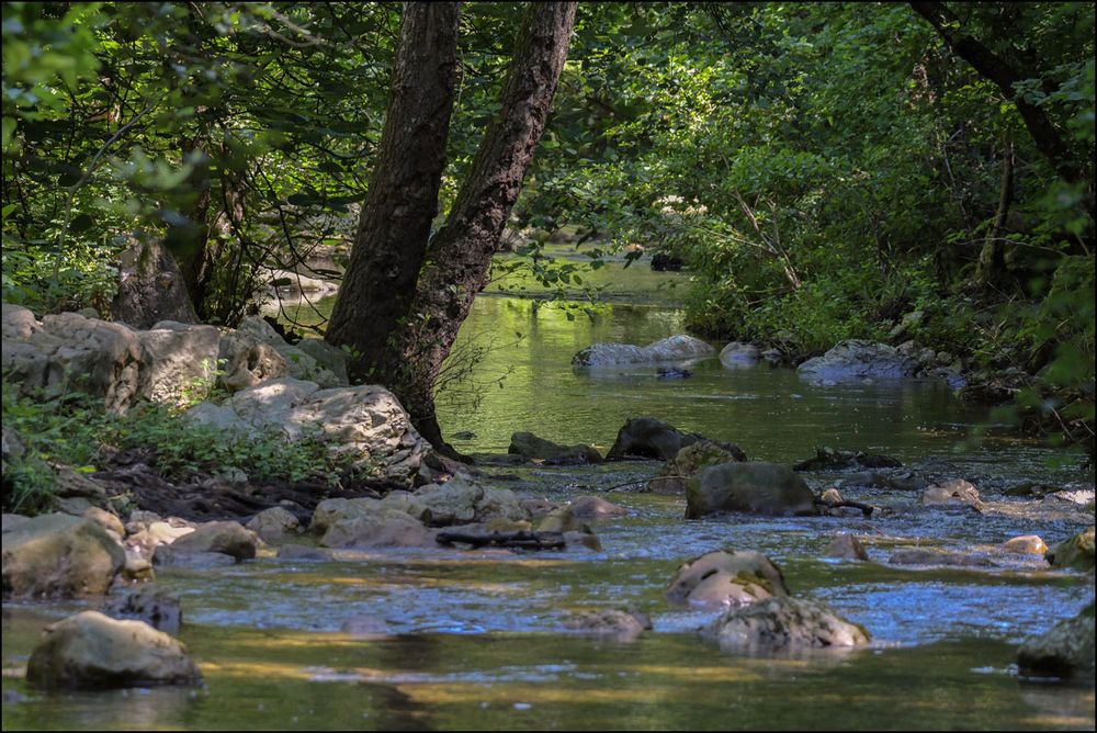 Promenade  sur le sentier de la Brague