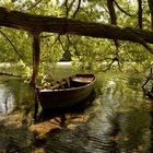 Promenade sur l'eau..