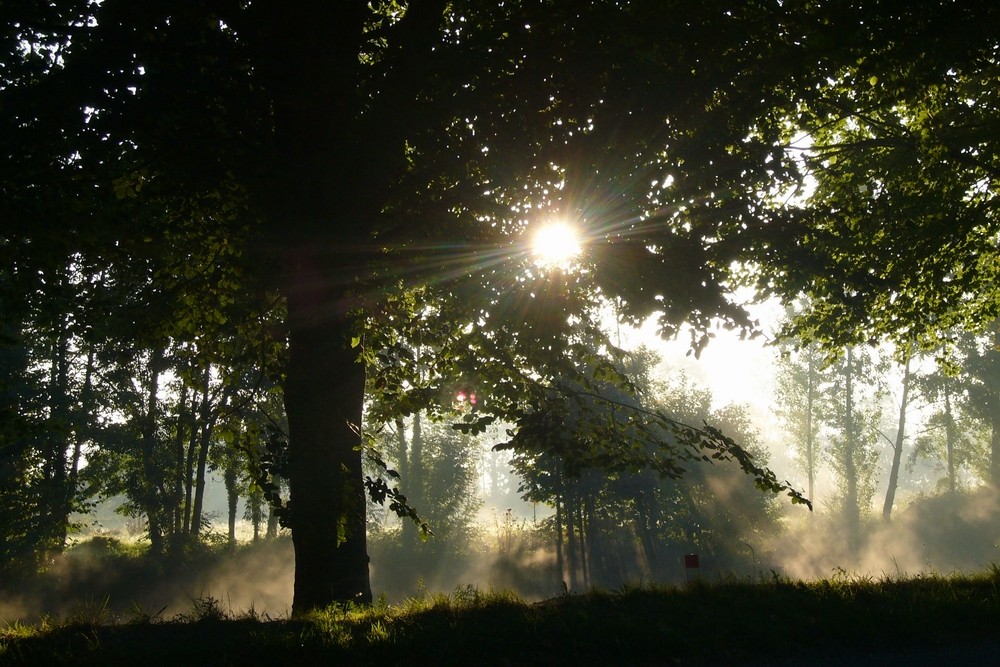 promenade sur les bords de l'oust