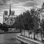 Promenade sur les quais