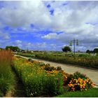 Promenade sur les Quais n°2