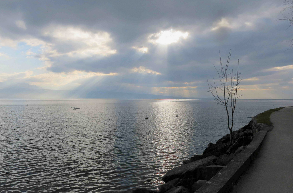 Promenade sur les rives du Léman 