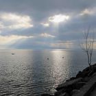 Promenade sur les rives du Léman 