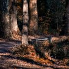 Promenade sur les rives du Loup