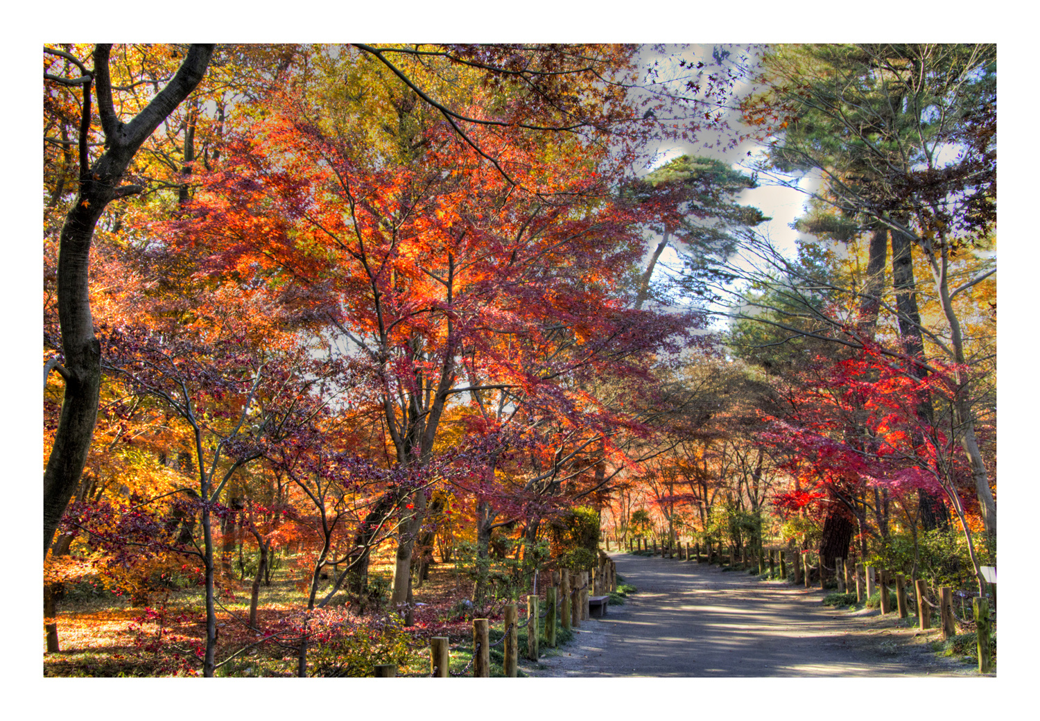 Promenade to Autumn