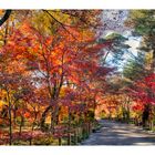 Promenade to Autumn