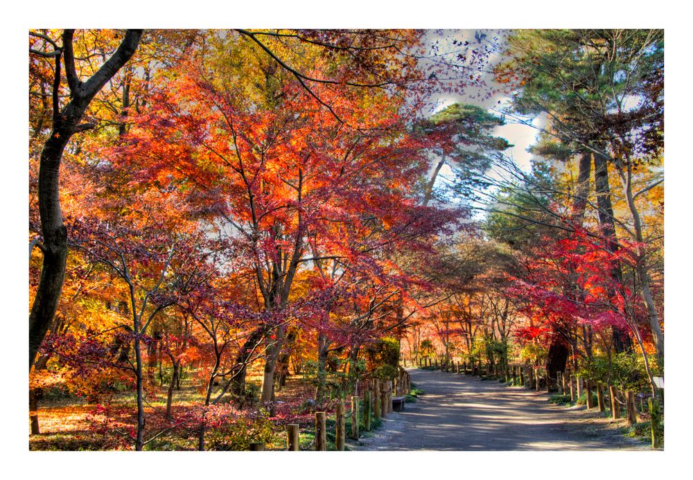 Promenade to Autumn