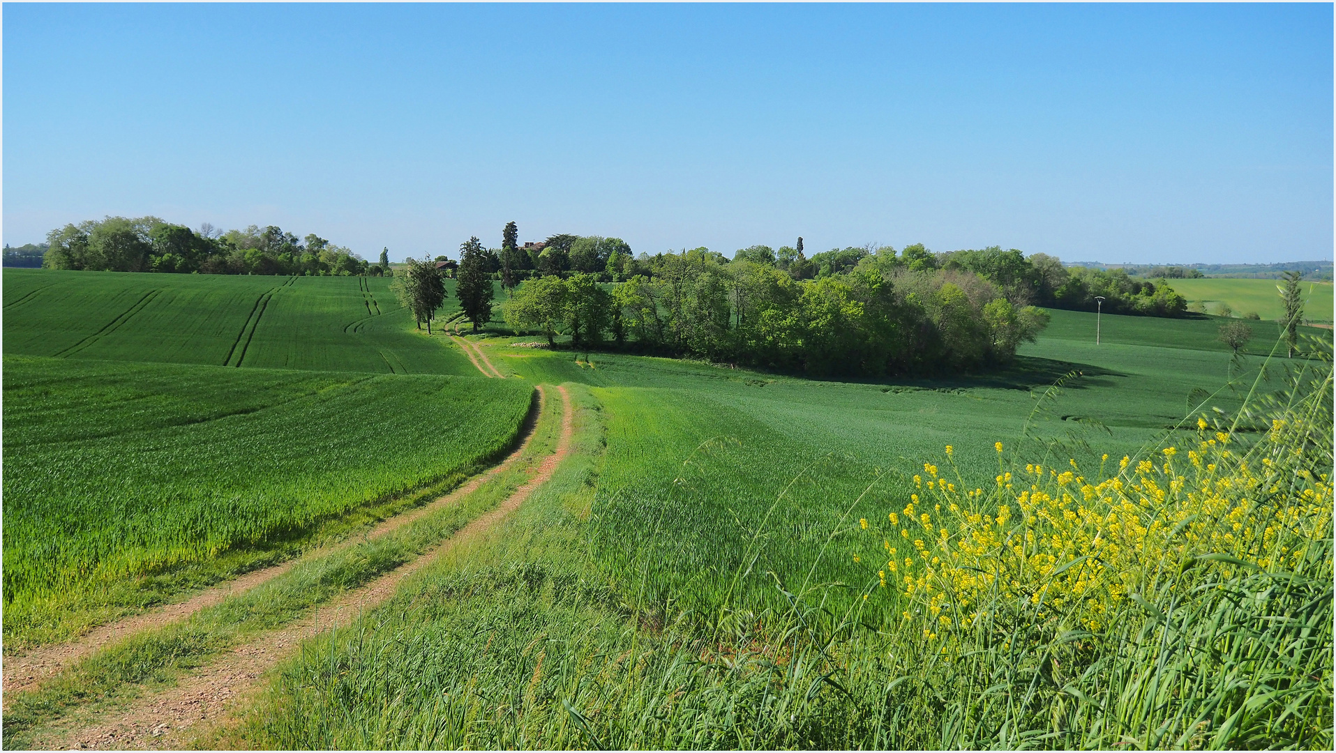 Promenade tout près de chez moi