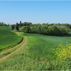 Promenade tout près de chez moi