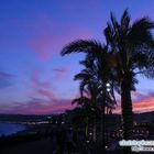 Promenade von Nizza