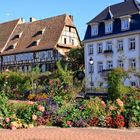 Promenade Wissembourg