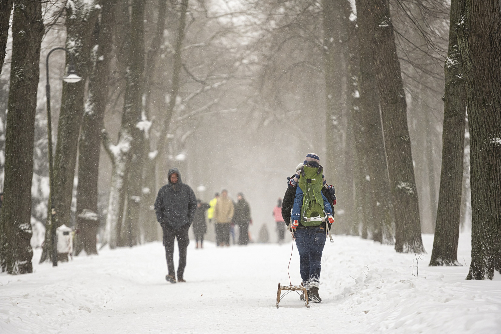 Promenaden Schlitten-Gang