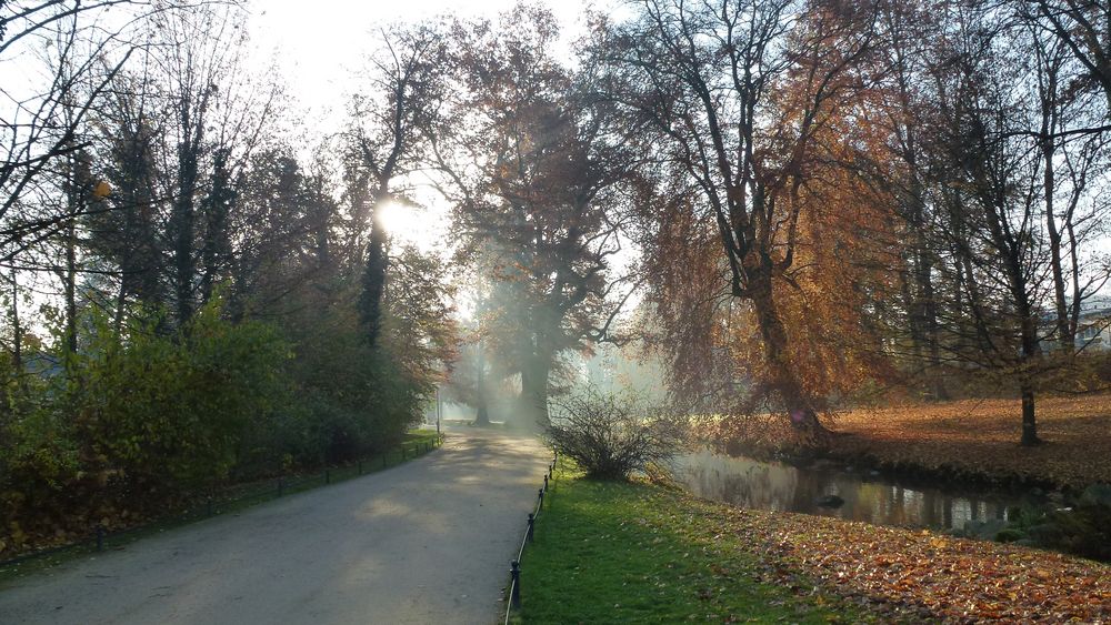 Promenadenstrasse im Gegenlicht