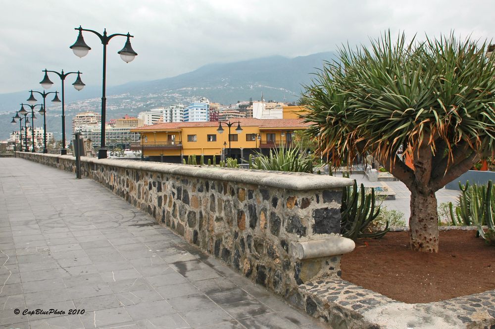 Promenadenweg mit Bergkulisse in Puerto de la Cruz