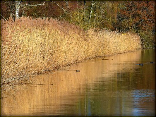 Promenades autour de chez nous