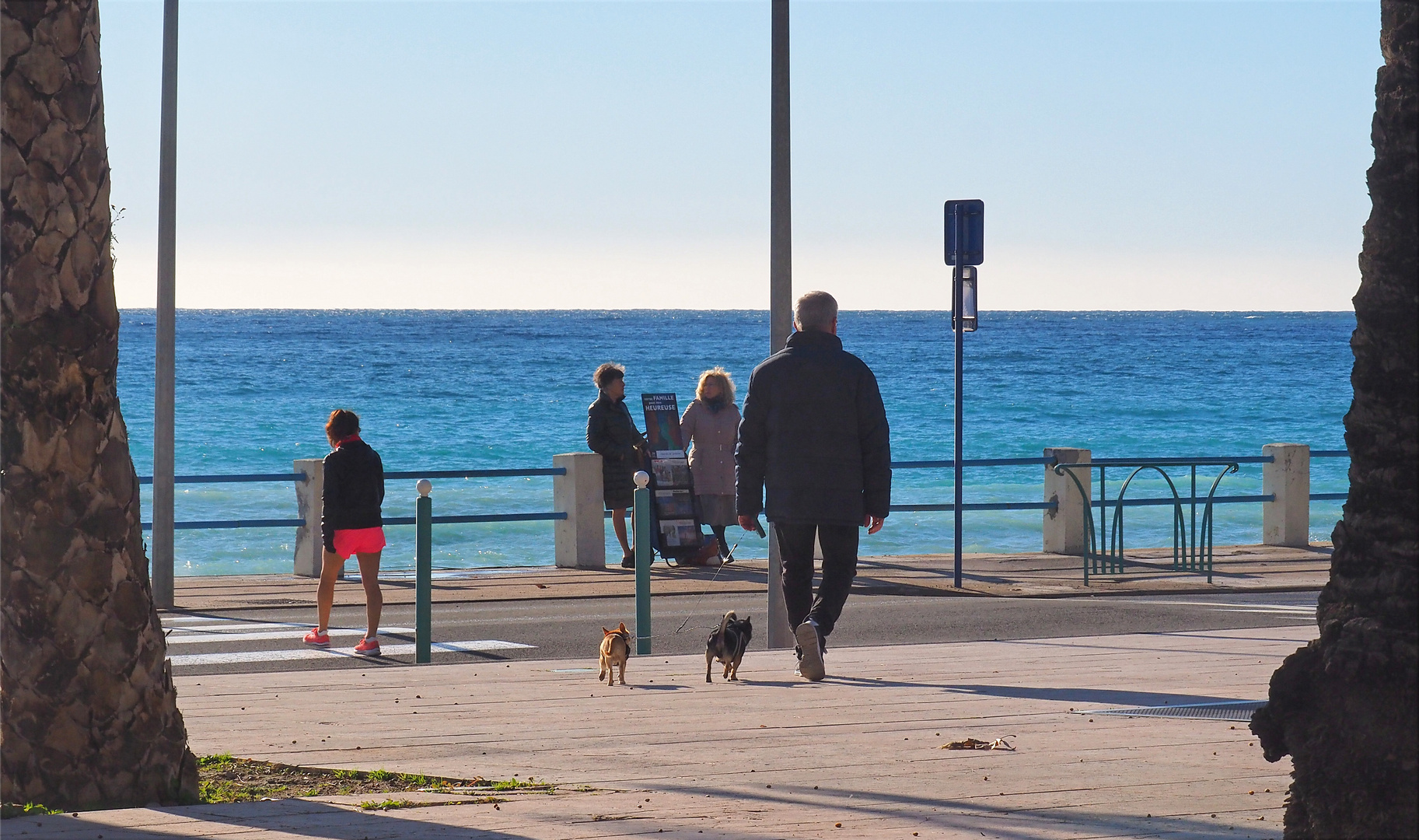 Promener les chiens en bord de mer