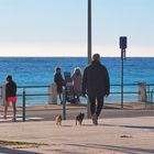 Promener les chiens en bord de mer