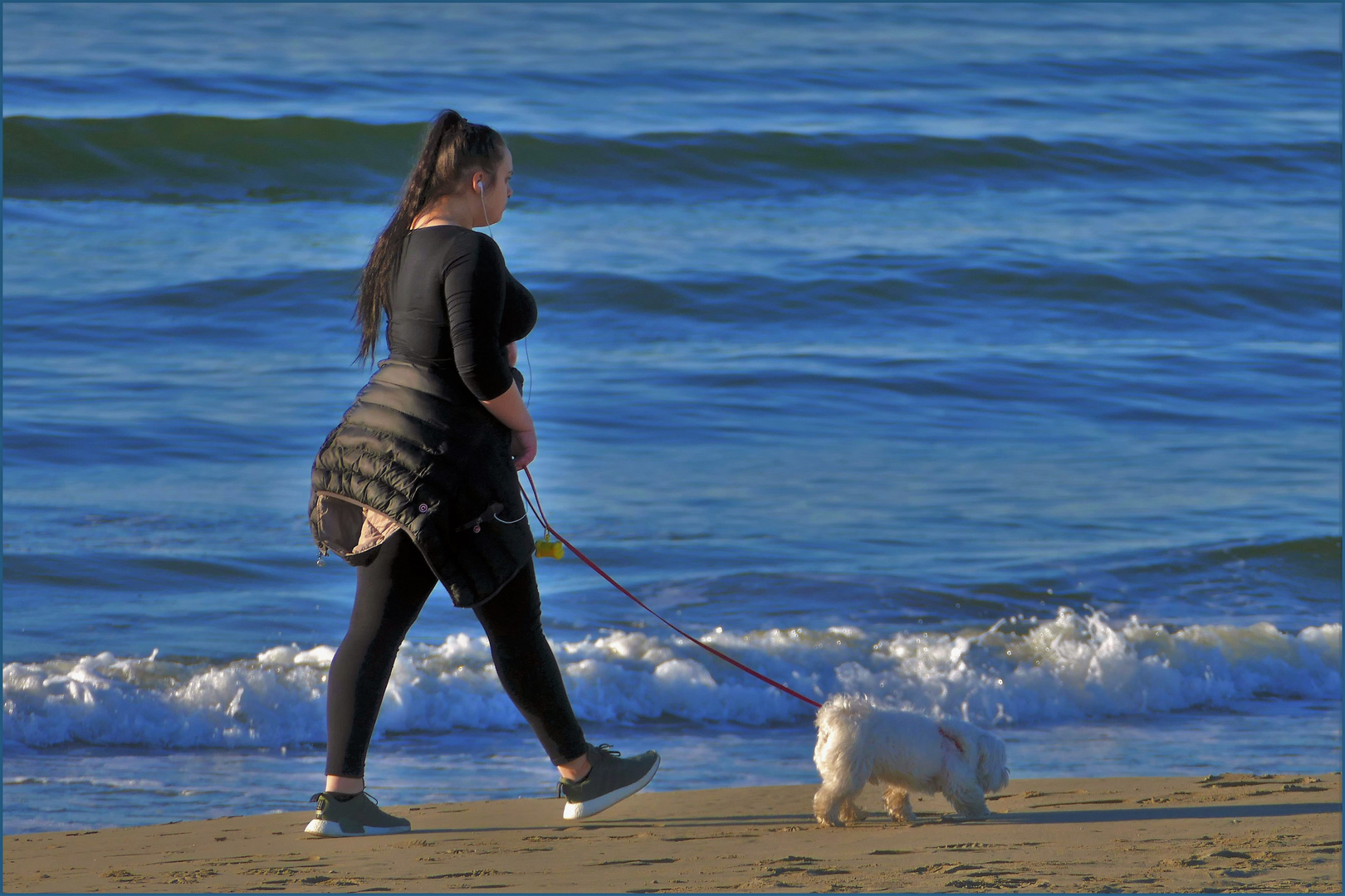 promener son chien au pas de charge....;