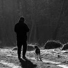 promeneur et son chien..