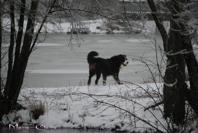 promeneur solitaire