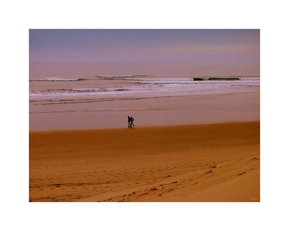 Promeneurs du dimanche