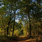 Promenons nous dans les bois,,,,,